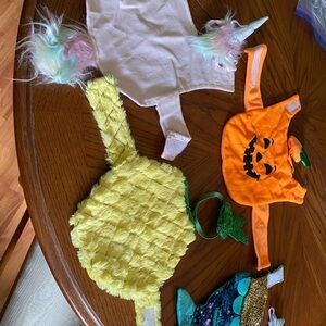 Halloween Small Pet Costumes